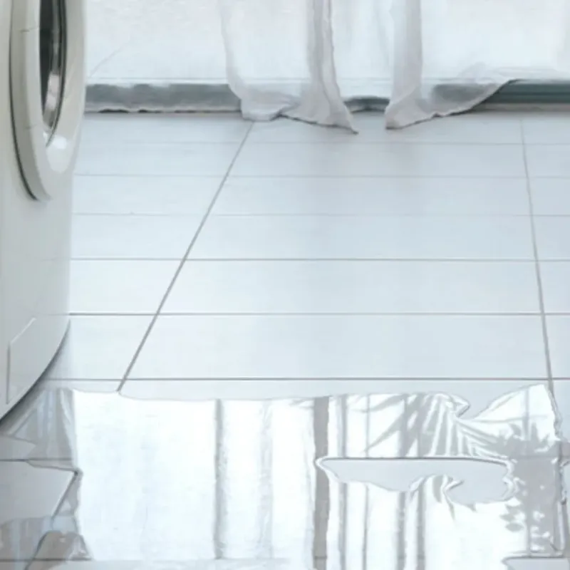 Appliance Leak Cleanup in Oviedo, FL